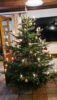 Weihnachtsfeier mit Königsproklamation